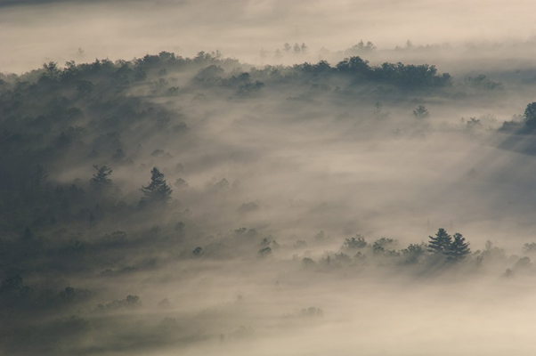 Mist in North Carolina - (c) Corey Hilz Mist in North Carolina - (c) Corey Hilz